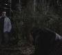 SPN_1070.jpg