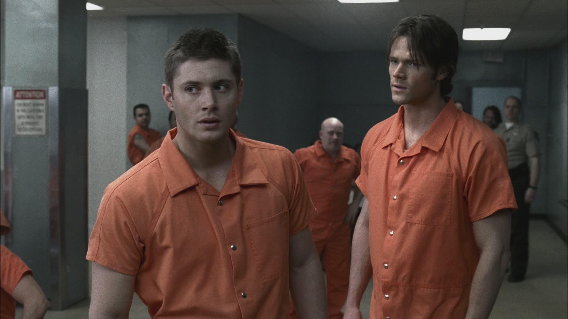 SPN_0507.jpg