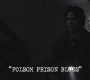 SPN_0152.jpg