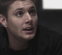SPN_0215.jpg