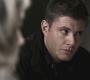SPN_0310.jpg