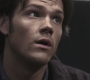 SPN_0317.jpg