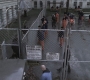 SPN_0339.jpg