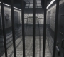 SPN_0551.jpg