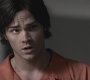 SPN_0720.jpg