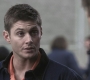SPN_0979.jpg