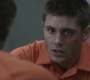 SPN_1019.jpg