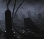 SPN_1306.jpg