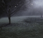 SPN_1345.jpg