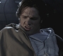 SPN_0397.jpg