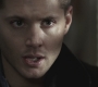 SPN_0558.jpg