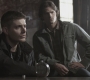 SPN_0646.jpg