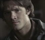 SPN_0660.jpg