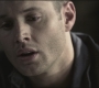 SPN_0733.jpg