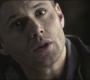 SPN_0736.jpg