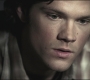 SPN_0737.jpg