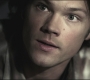 SPN_0738.jpg