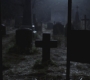 SPN_0813.jpg