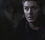 SPN_0932.jpg