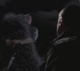 SPN_1078.jpg