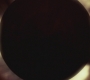 SPN_1093.jpg