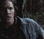 SPN_1121.jpg