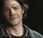 SPN_1164.jpg