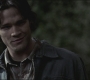 SPN_1206.jpg