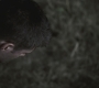 SPN_1217.jpg