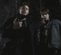 SPN_1307.jpg
