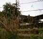 Filename=3x01_0137.jpg
Filesize=339KiB
Dimensions=1920x1080
Date added=Sep 29, 2021 3x01_0137.jpg
