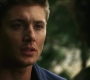 Filename=3x01_1095.jpg
Filesize=198KiB
Dimensions=1920x1080
Date added=Sep 29, 2021 3x01_1095.jpg