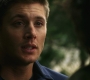 Filename=3x01_1096.jpg
Filesize=185KiB
Dimensions=1920x1080
Date added=Sep 29, 2021 3x01_1096.jpg