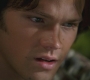 SPN_0985.jpg