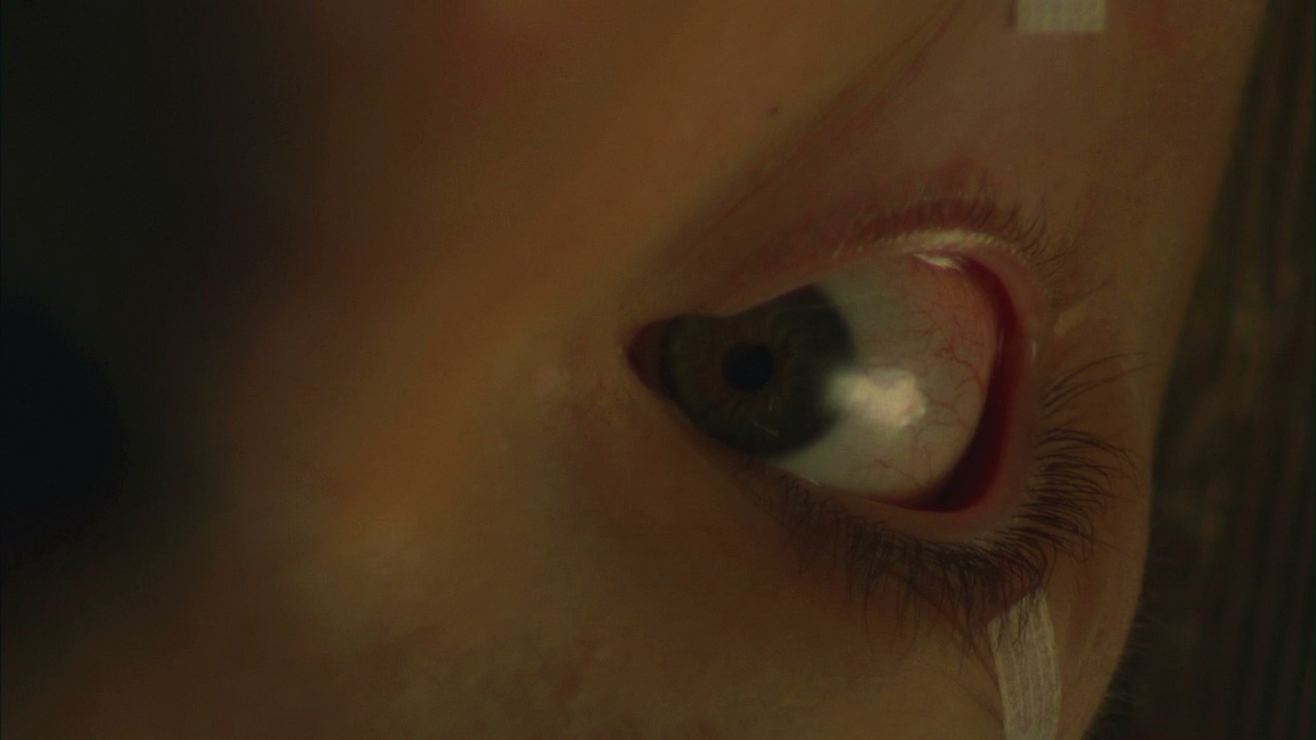 3x15_0765.jpg