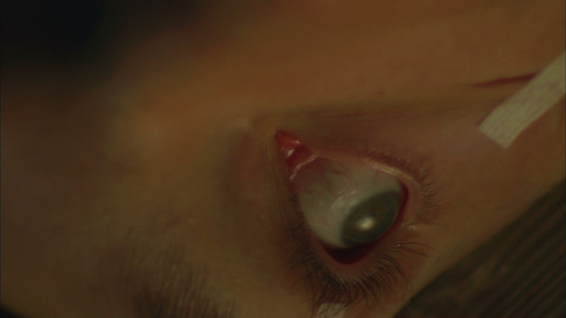 3x15_0766.jpg