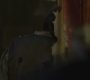 3x15_0809.jpg
