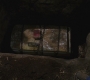 3x15_0895.jpg