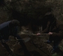 3x15_0904.jpg