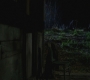 3x15_0905.jpg