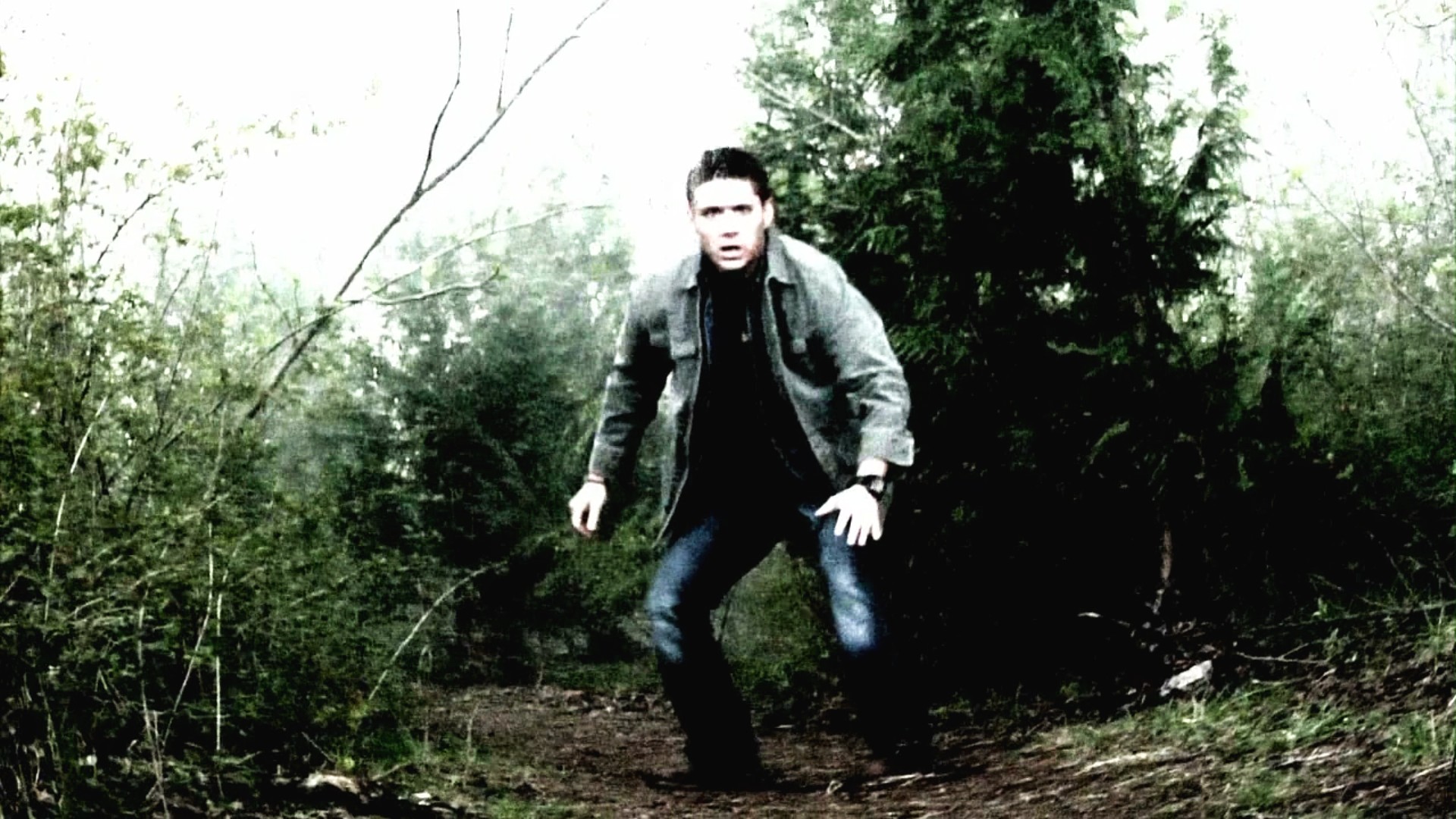 3x16_0007.jpg