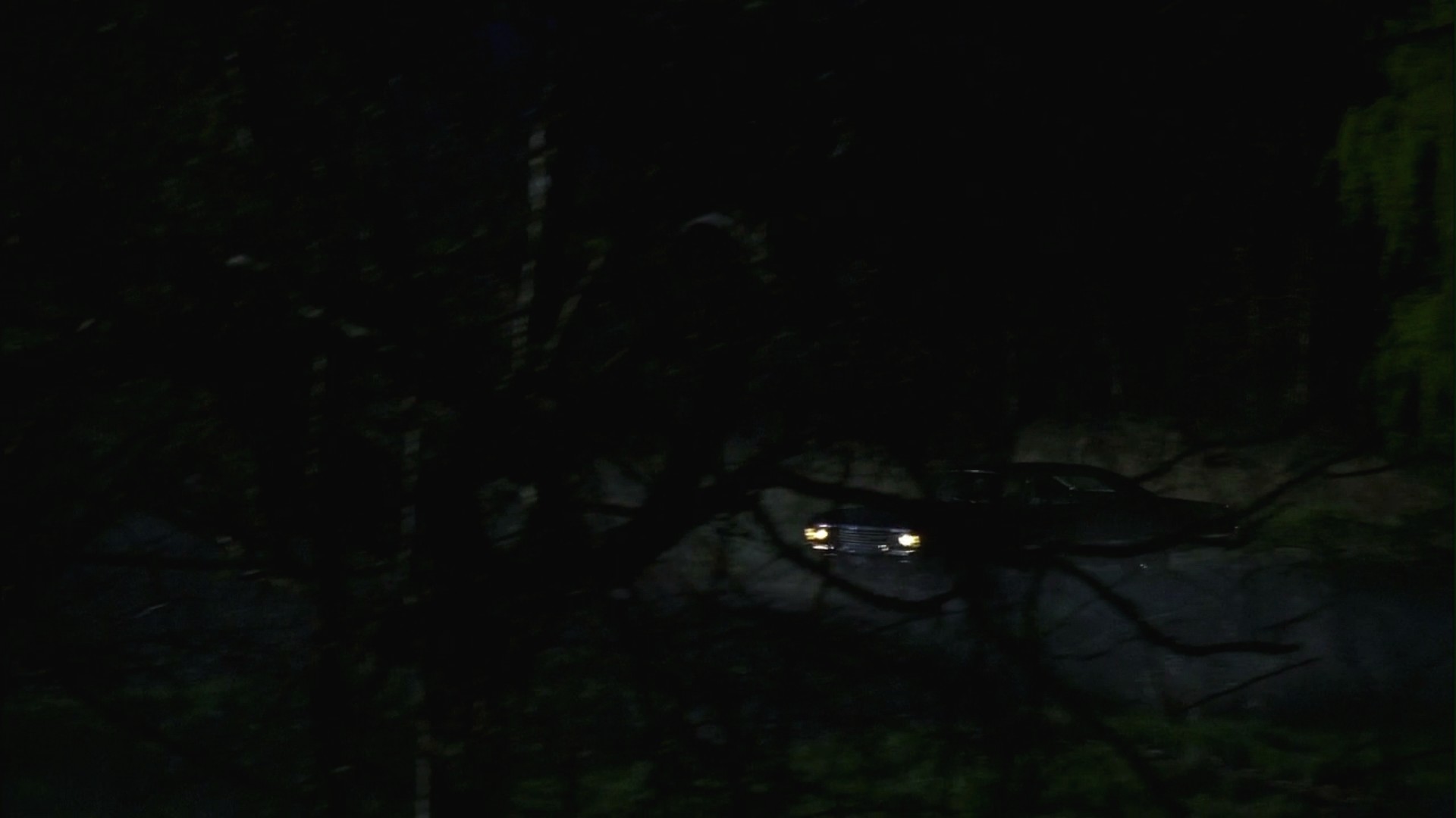 3x16_0585.jpg