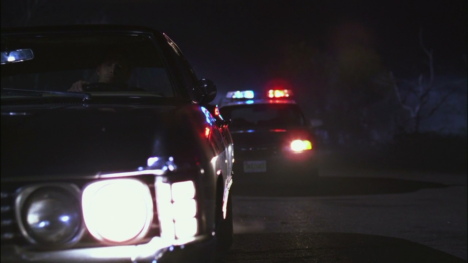 3x16_0633.jpg