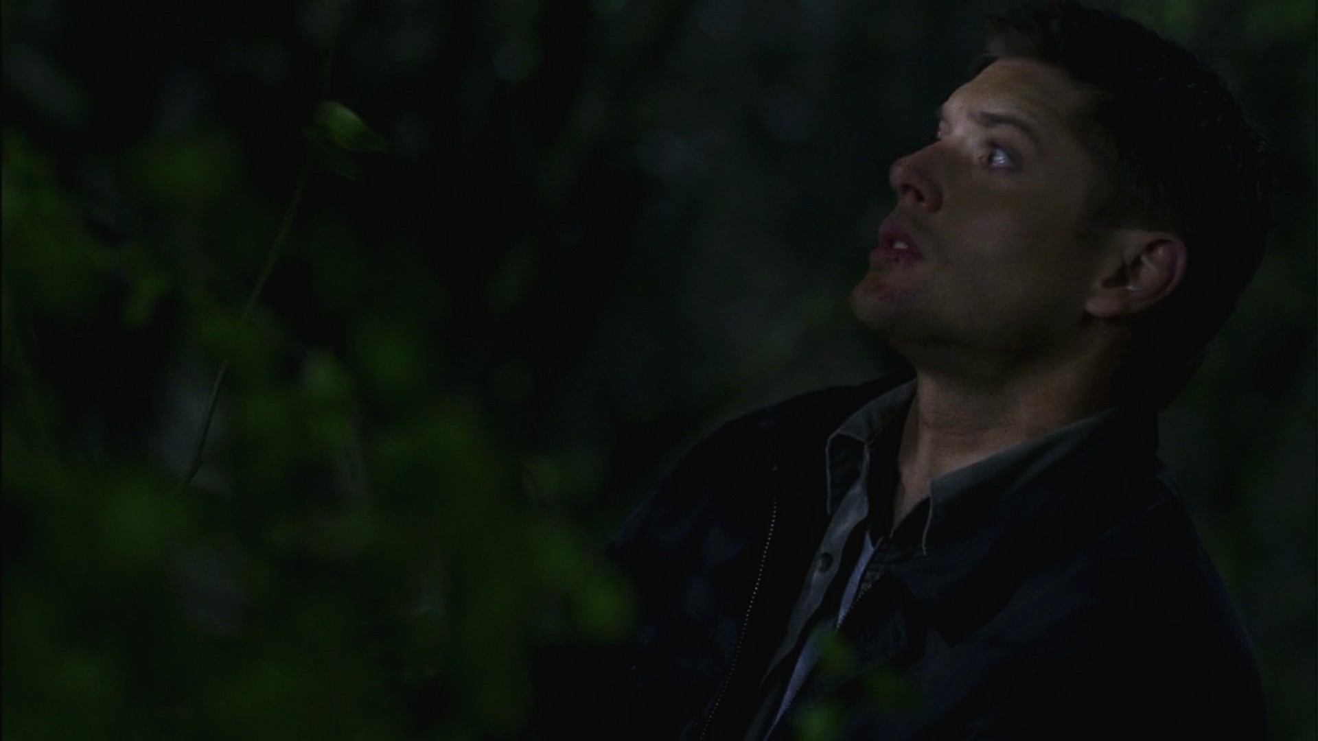 3x16_0672.jpg