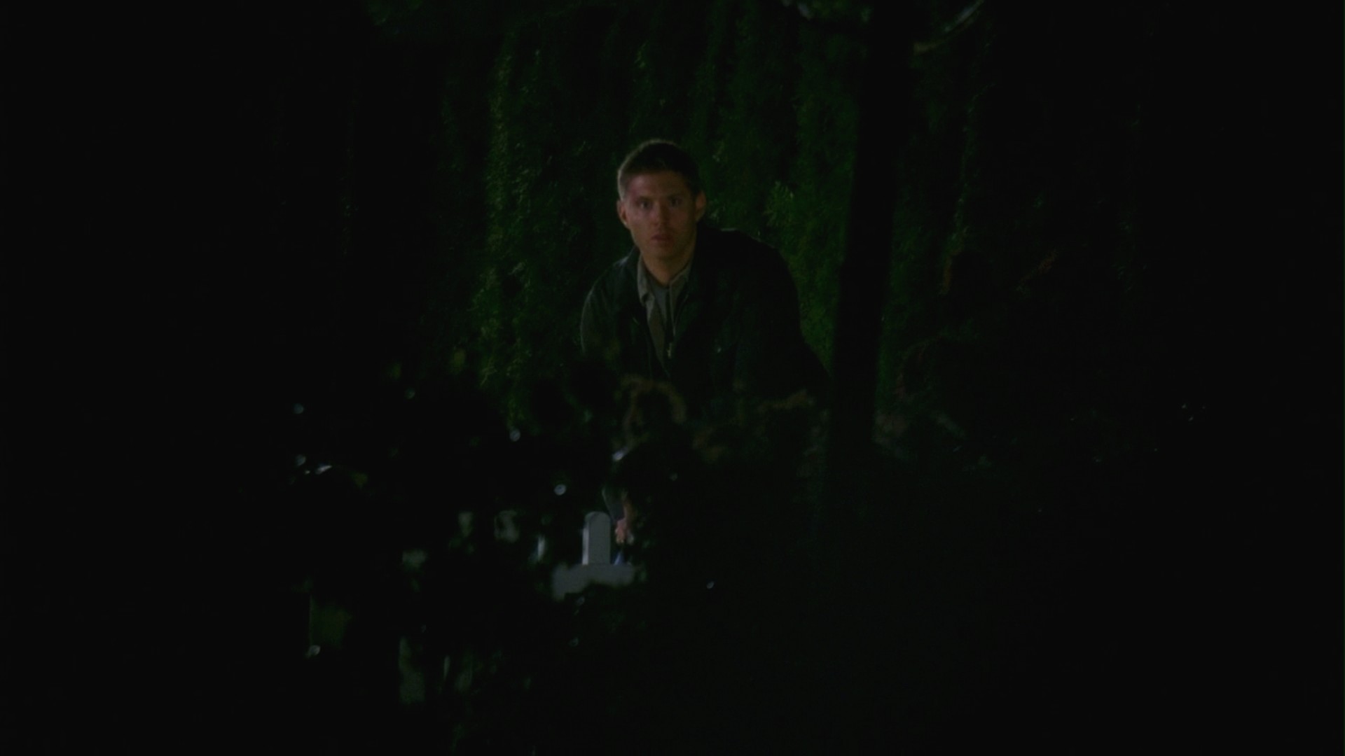 3x16_0764.jpg