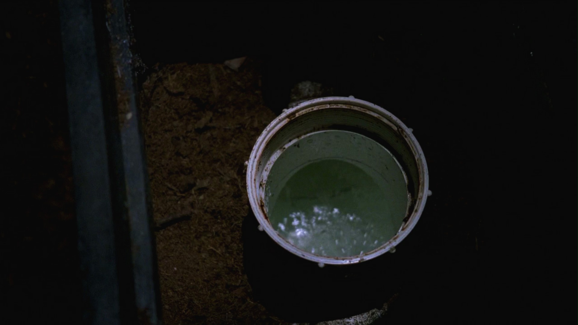 3x16_0775.jpg