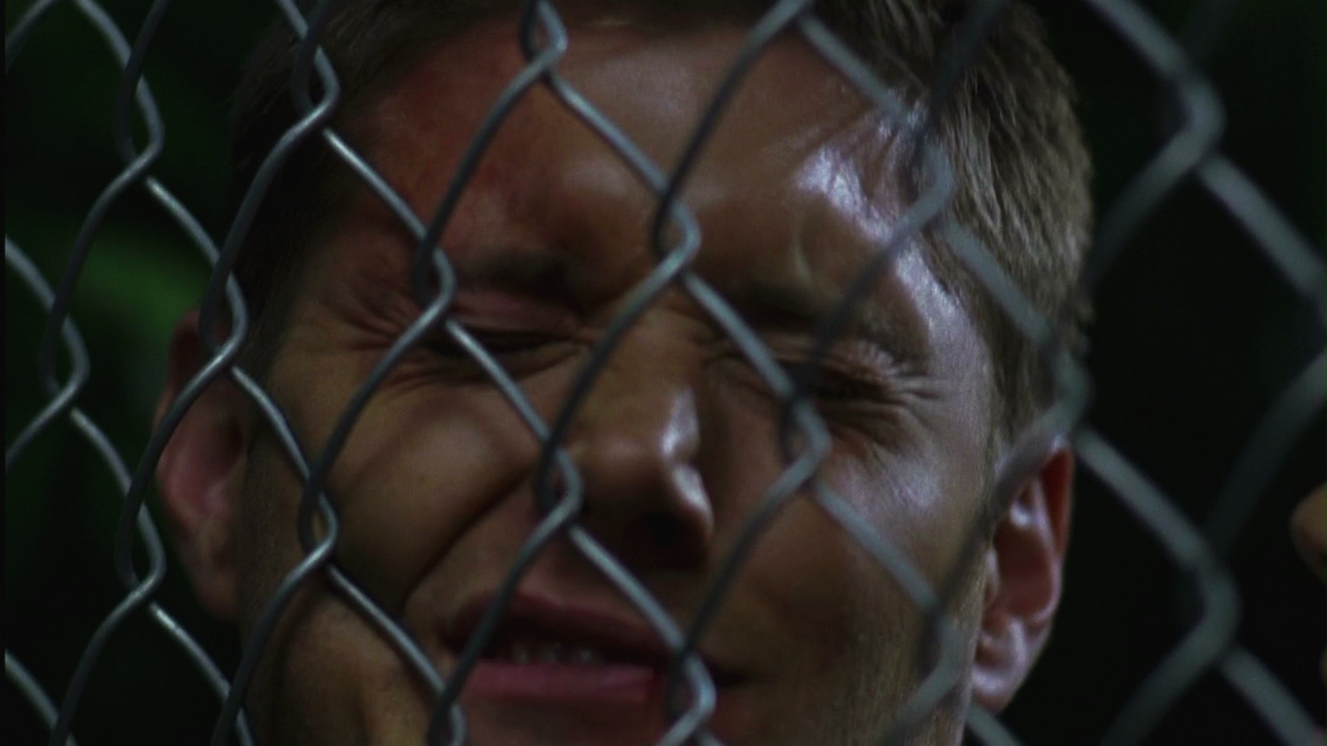 3x16_0787.jpg