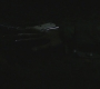 SPN_0956.jpg