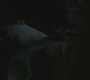 SPN_0959.jpg