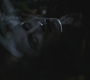 SPN_0990.jpg